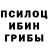 Галлюциногенные грибы Cubensis dusfe