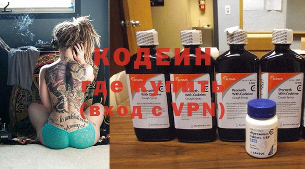 стафф Осинники