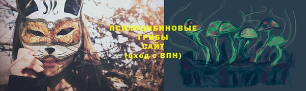 дмт Нягань