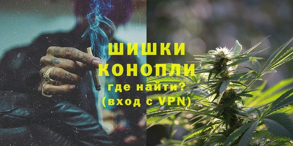 ПСИЛОЦИБИНОВЫЕ ГРИБЫ Няндома